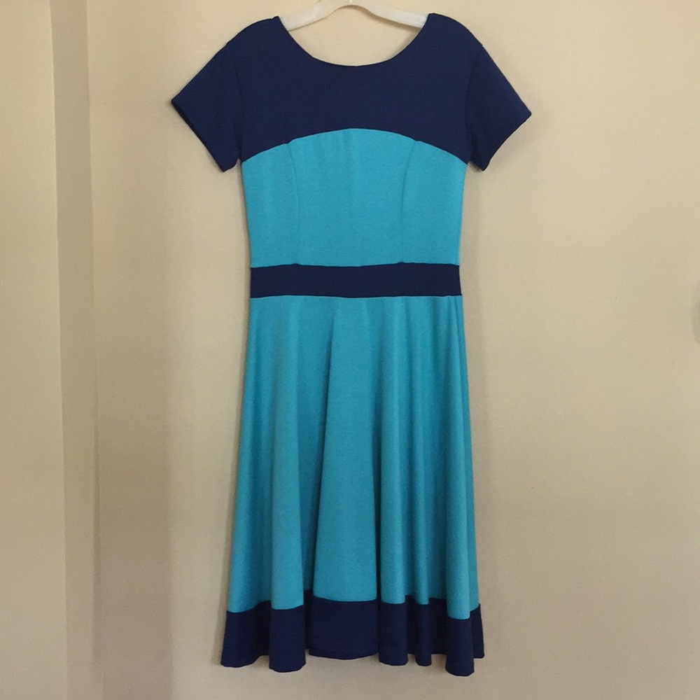 Junie Blake Dress with full skirt purchased from ModCloth